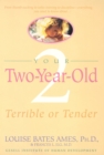Your Two-Year-Old - eBook