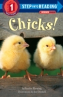 Chicks! - Book