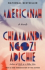 Americanah - eBook