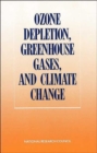 Ozone Depletion, Greenhouse Gases, and Climate Change - Book