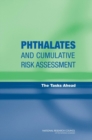 Phthalates and Cumulative Risk Assessment : The Tasks Ahead - eBook