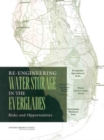 Re-Engineering Water Storage in the Everglades : Risks and Opportunities - eBook