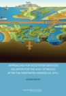 Approaches for Ecosystem Services Valuation for the Gulf of Mexico After the Deepwater Horizon Oil Spill : Interim Report - Book