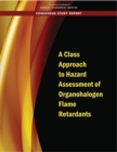 A Class Approach to Hazard Assessment of Organohalogen Flame Retardants - eBook