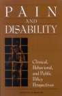 Pain and Disability : Clinical, Behavioral, and Public Policy Perspectives - eBook