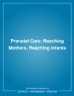 Prenatal Care : Reaching Mothers, Reaching Infants - eBook