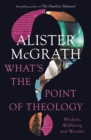 What's the Point of Theology? : Wisdom, Wellbeing and Wonder - eBook