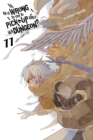 Is It Wrong to Try to Pick Up Girls in a Dungeon?, Vol. 11 (light novel) - Book