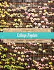 MyNotes ( Download Only) for Essentials of College Algebra - Book