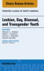 Lesbian, Gay, Bisexual, and Transgender Youth, An Issue of Pediatric Clinics of North America - eBook