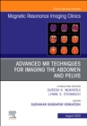Advanced MR Techniques for Imaging the Abdomen and Pelvis, An Issue of Magnetic Resonance Imaging Clinics of North America : Volume 28-3 - Book