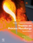 Treatise on Process Metallurgy : Volume 3: Industrial Processes - eBook
