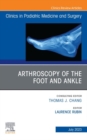 Arthroscopy of the Foot and Ankle, An Issue of Clinics in Podiatric Medicine and Surgery, E-Book - eBook