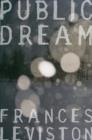 Public Dream - eBook