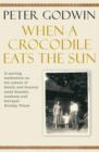 When A Crocodile Eats the Sun - eBook