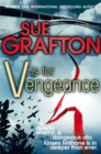 V is for Vengeance - Book