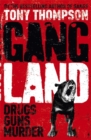 Gang Land : From footsoldiers to kingpins, the search for Mr Big - Book