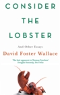 Consider The Lobster : Essays and Arguments - Book