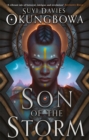 Son of the Storm - Book