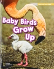 ROYO READERS LEVEL B BABY BIRD S GROW UP - Book