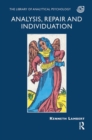 Analysis, Repair and Individuation - Book