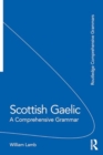 Scottish Gaelic : A Comprehensive Grammar - Book