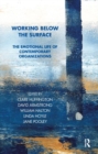 Working Below the Surface : The Emotional Life of Contemporary Organizations - Book