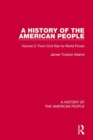 A History of the American People : Volume 2: From Civil War to World Power - Book