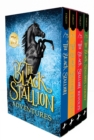 The Black Stallion Adventures : The Black Stallion Returns; The Black Stallion's Ghost; The Black Stallion Revolts - Book