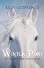 Winter Pony - eBook