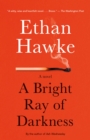 Bright Ray of Darkness - eBook