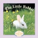 The Little Rabbit - eBook