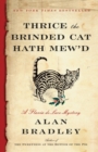 Thrice the Brinded Cat Hath Mew'd - eBook