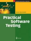 Practical Software Testing : A Process-Oriented Approach - eBook