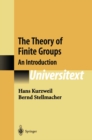 The Theory of Finite Groups : An Introduction - eBook