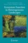 Ecosystem Function in Heterogeneous Landscapes - eBook