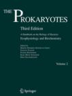 The Prokaryotes : Vol. 2:  Ecophysiology and Biochemistry - eBook