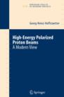 High Energy Polarized Proton Beams : A Modern View - eBook