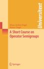A Short Course on Operator Semigroups - eBook