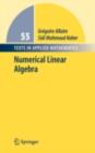 Numerical Linear Algebra - eBook