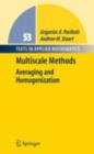 Multiscale Methods : Averaging and Homogenization - eBook