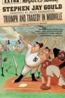 Triumph and Tragedy in Mudville : A Lifelong Passion for Baseball - eBook