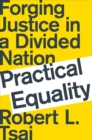 Practical Equality : Forging Justice in a Divided Nation - eBook