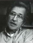 Noam Chomsky : Critical Assessments - Book