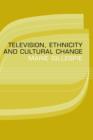 Television, Ethnicity and Cultural Change - Book