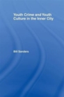 Youth Crime and Youth Culture in the Inner City - Book