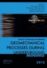 Geomechanical Processes during Underground Mining : School of Underground Mining 2012 - Book