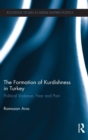 The Formation of Kurdishness in Turkey : Political Violence, Fear and Pain - Book