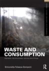 Waste and Consumption : Capitalism, the Environment, and the Life of Things - Book