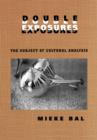 Double Exposures : The Practice of Cultural Analysis - Book